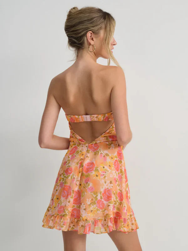Alvetta Mini Dress